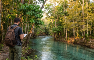 Florestas com mais espécies de árvores armazenam mais carbono, administram melhor a água e protegem o solo