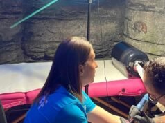 Tartarugas amarelas do Sea Life Benalmádena encerram a sessão plenária com o sucesso da Espanha na Copa do Mundo