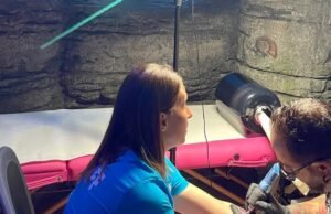Tartarugas amarelas do Sea Life Benalmádena encerram a sessão plenária com o sucesso da Espanha na Copa do Mundo