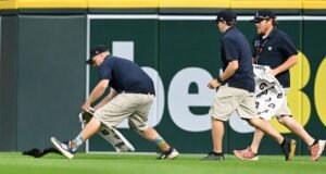 O Esquilo lidera a equipe de solo em uma perseguição espetacular durante o jogo Orioles-Tigers