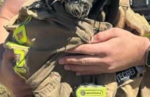 Assista: Bombeiros resgatam cachorro desaparecido na Baía de São Francisco