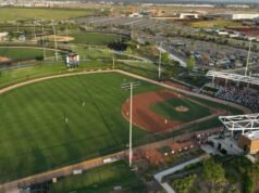 A cultura asiática dos fãs de beisebol está chegando ao novo time da liga secundária de Irvine