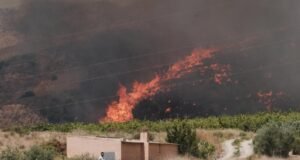 Pelo menos 12 mortos e 23 desaparecidos num dos incêndios florestais mais mortíferos de Espanha