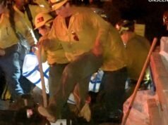 Três bombeiros feridos em incêndio florestal nas montanhas de San Bernardino