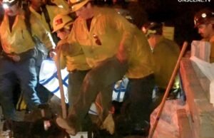 Três bombeiros feridos em incêndio florestal nas montanhas de San Bernardino