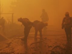 Por que demorou tanto para os federais liberarem máscaras para os bombeiros