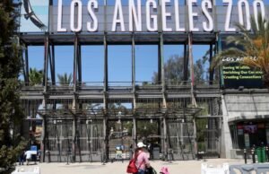O grupo que ajudou a administrar o Zoológico de Los Angeles por mais de 50 anos está falido