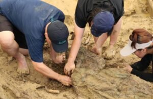 Um anel de ouro com cerca de 2.000 anos foi encontrado na Tailândia