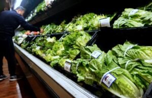 O produto é seguro para consumo? O aumento da ciclosporíase que causa diarreia causa medo de frutas, vegetais