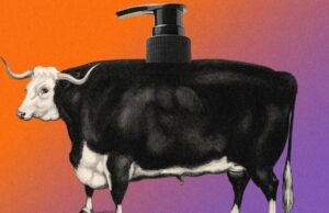 Os cuidados com a pele da carne bovina realmente funcionam? Dermatologistas avaliam