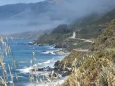 Causa da morte do alpinista de Big Sur encontrado morto com ferimentos estranhos revelados