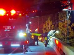 Teen Big Bear cai do suporte da ponte; é o sonho da família abrir uma padaria em nome dele