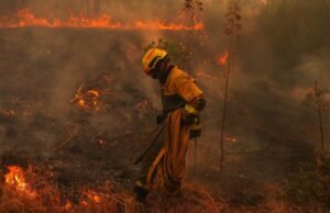 Incêndios florestais em França estão a expulsar mais pessoas das suas casas e a deslocar-se para Bordéus