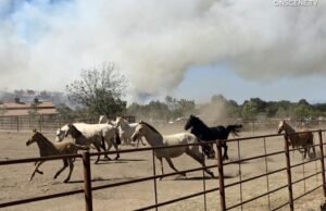 O incêndio do vulcão foi evacuado no condado de Riverside, outros foram reduzidos como alerta