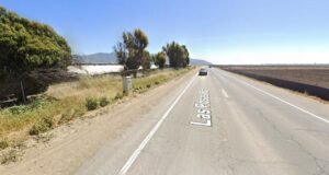 Ciclista morto em acidente de carro na madrugada de Camarillo, diz polícia