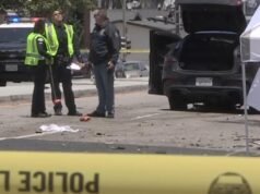 Pai de dois filhos morto em acidente em Los Angeles; o outro foi conhecer seu filho recém-nascido