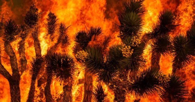 urlhttps3A2F2Fcalifornia-times-brightspot.s3.amazonaws.com2F8d2F7b2Fddbaffa24f9b8959c54b30b6.jpeg