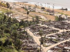Os prêmios de seguro residencial para incêndios florestais são legais, decide o juiz