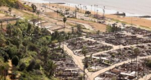 Os prêmios de seguro residencial para incêndios florestais são legais, decide o juiz