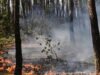 As batalhas na França atingem 4 vezes o tamanho de Paris, enquanto o calor da caixa de pólvora ameaça um novo aumento