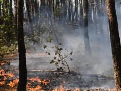 As batalhas na França atingem 4 vezes o tamanho de Paris, enquanto o calor da caixa de pólvora ameaça um novo aumento