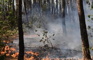 As batalhas na França atingem 4 vezes o tamanho de Paris, enquanto o calor da caixa de pólvora ameaça um novo aumento