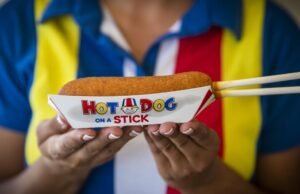 Plano de retorno do Hot Dog on a Stick: expansão rápida e lagosta fresca no palito