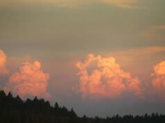 O risco de incêndio aumenta na Califórnia à medida que a primeira tempestade se aproxima