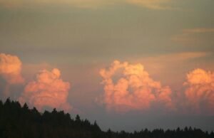 O risco de incêndio aumenta na Califórnia à medida que a primeira tempestade se aproxima