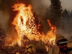 Espera-se que a PG&E pague US$ 22 milhões pelo incêndio do mosquito, disseram reguladores