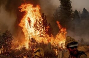 Espera-se que a PG&E pague US$ 22 milhões pelo incêndio do mosquito, disseram reguladores