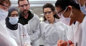 ‘The Pitt’ recebeu 25 indicações no total, incluindo 13 indicações para atuação