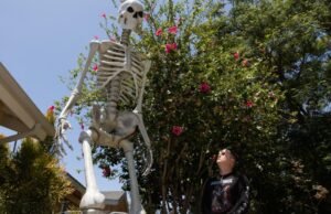 Os esqueletos gigantes ficam muito antes do Halloween em Los Angeles