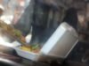 O isopor luta pela sua vida enquanto a indústria do plástico incentiva a reciclagem