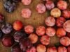 Uma salada de frutas de verão perfeita
