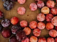 Uma salada de frutas de verão perfeita