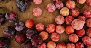 Uma salada de frutas de verão perfeita