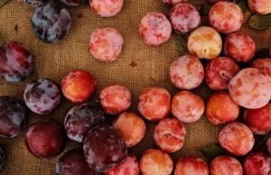 Uma salada de frutas de verão perfeita