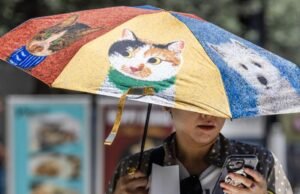 Esta onda de calor no SoCal pode ser a mais quente do ano: 5 coisas para saber