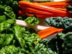 Como comer com segurança durante um surto de ciclosporíase que causa diarreia
