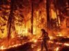 Homem condenado por atear fogo em Park, um dos maiores incêndios da Califórnia