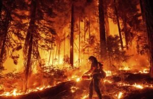 Homem condenado por atear fogo em Park, um dos maiores incêndios da Califórnia