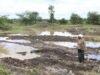 Conflitos e choques energéticos ameaçam o desenvolvimento da fome global, alerta chefe da agência da ONU