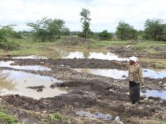 Conflitos e choques energéticos ameaçam o desenvolvimento da fome global, alerta chefe da agência da ONU