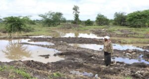 Conflitos e choques energéticos ameaçam o desenvolvimento da fome global, alerta chefe da agência da ONU
