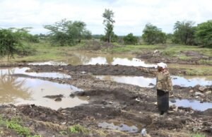 Conflitos e choques energéticos ameaçam o desenvolvimento da fome global, alerta chefe da agência da ONU