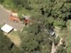 Menino de SoCal morto esmagado por galho de árvore no acampamento; O contrato valia US$ 19,3 milhões