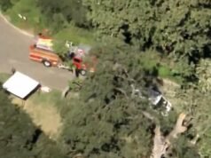 Menino de SoCal morto esmagado por galho de árvore no acampamento; O contrato valia US$ 19,3 milhões